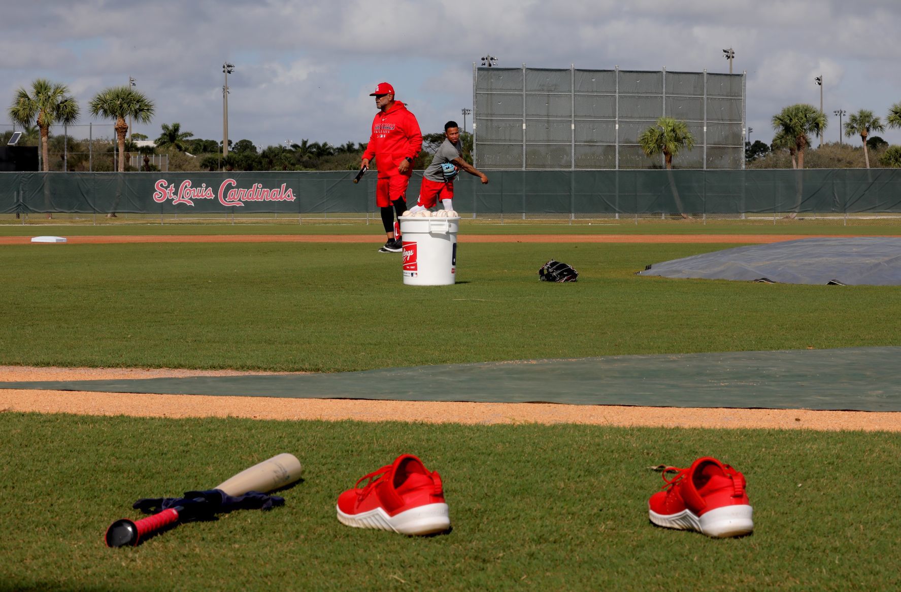 Cardinals pitchers and catchers report day